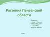 Растения Пензенской области