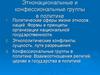 Этнонациональные и конфессиональные группы в политике