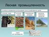 Лесная промышленность. Основные направления использования леса в хозяйственных целях