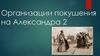 Организации покушения на Александра 2