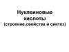 Нуклеиновые кислоты (строение, свойства и синтез). Тема 14