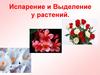 Испарение и выделение у растений