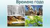 Времена года