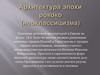 Архитектура эпохи рококо (неоклассицизма)