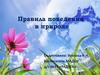 Правила поведения в природе