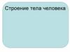 Строение тела человека
