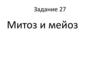Митоз и мейоз