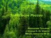 Зона Лесов России