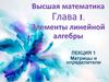 Высшая математика. Глава 1. Элементы линейной алгебры. Лекция 1