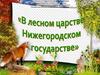 Лесное царство Нижегородской области. Квест-игра