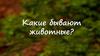 Какие бывают животные?
