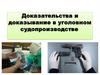 Доказательства и доказывание в уголовном судопроизводстве