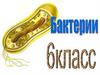 Бактерии. 6 класс