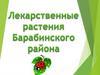 Лекарственные растения Барабинского района