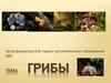 Роль грибов в природе