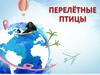 Перелётные птицы