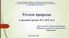 Уголок природы в средней группе № 2 (4-5 лет)