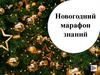 Новогодний марафон знаний