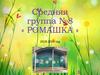 Средняя группа № 8 «Ромашка»