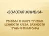 «Золотая жнивка». Рассказ о сборе урожая, ценности хлеба, важности труда земледельца