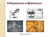 Кодирование информации