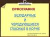 Орфография. Безударные и чередующиеся гласные в корне