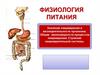 Значение пищеварения в жизнедеятельности организма. Процессы пищеварения. Строение пищеварительной системы