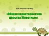 Общая характеристика царства животных