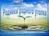Родники родного уголка