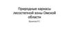 Природные каркасы лесостепной зоны Омской области