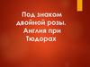 Под знаком двойной розы. Англия при Тюдорах