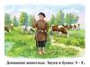Домашние животные. Звуки и буквы Э – Е