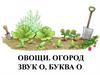 Овощи. Огород звук о, буква о