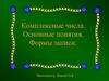 Комплексные числа. Основные понятия. Формы записи