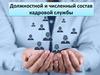 Должностной и численный состав кадровой службы