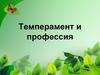 Темперамент и профессия