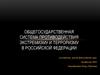 Общегосударственная система противодействия экстремизму и терроризму в Российской Федерации