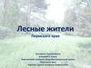 Лесные жители Пермского края