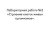 Строение клеток живых организмов