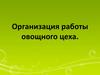 Организация работы овощного цеха