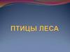 Птицы леса