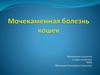 Мочекаменная болезнь кошек