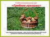 Учебно-познавательная игра «Грибное лукошко»