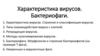 Характеристика вирусов. Бактериофаги