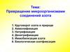 Превращение микроорганизмами соединений азота. Тема 7