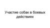 Участие собак в боевых действиях