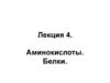 Аминокислоты. Белки. Лекция 2