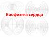Биофизика сердца