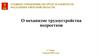 Механизм трудоустройства подростков г. Тверь