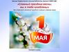 Славный праздник весны, мы в тебя влюблены. Как отмечают весенний праздник в разных странах мира